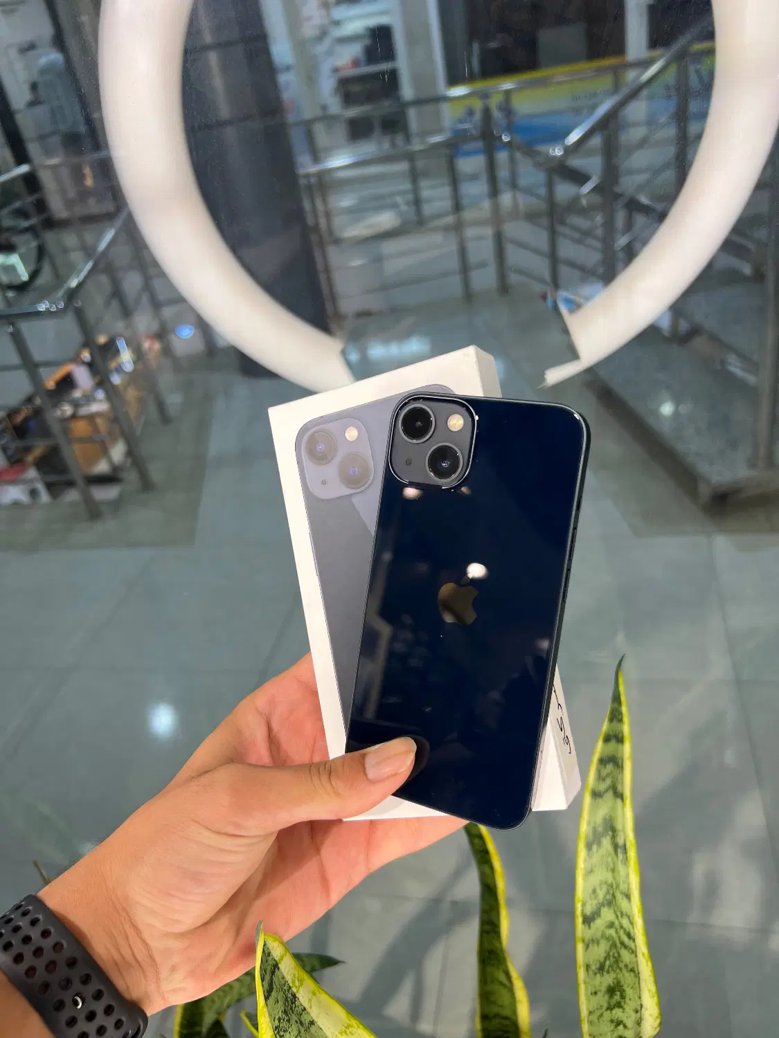 iphone13 normal|موبایل|گنبد کاووس, |دیوار