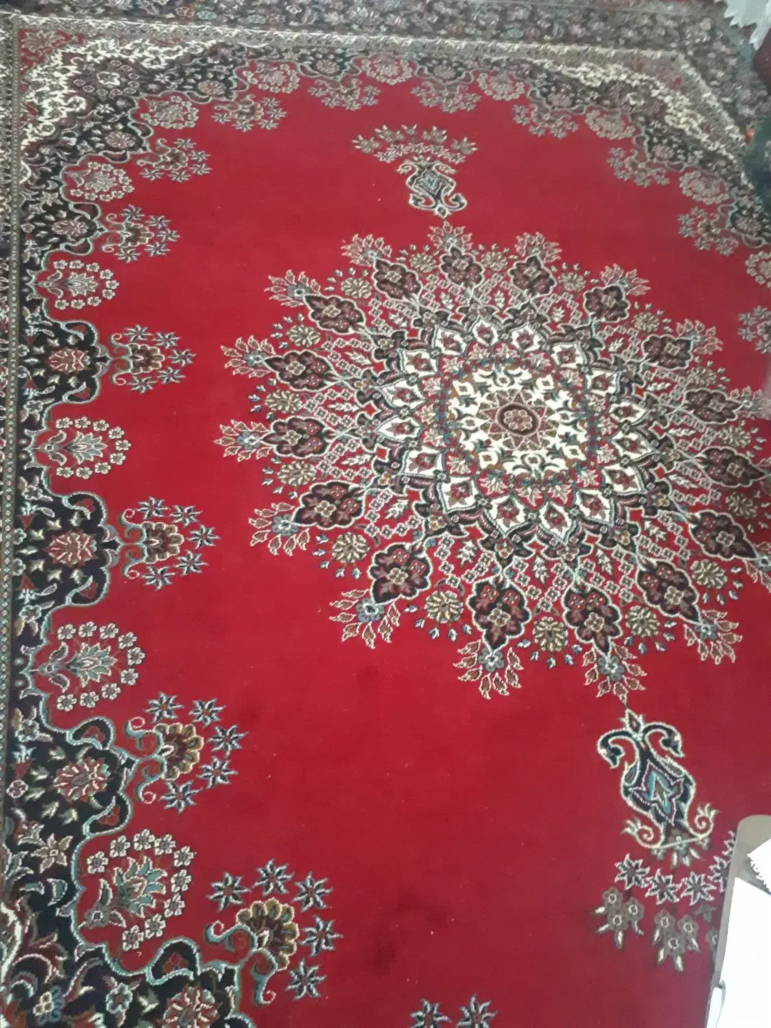 فرش ۱۲متری ۵۰۰شانه|فرش|مشهد, کارمندان دوم|دیوار