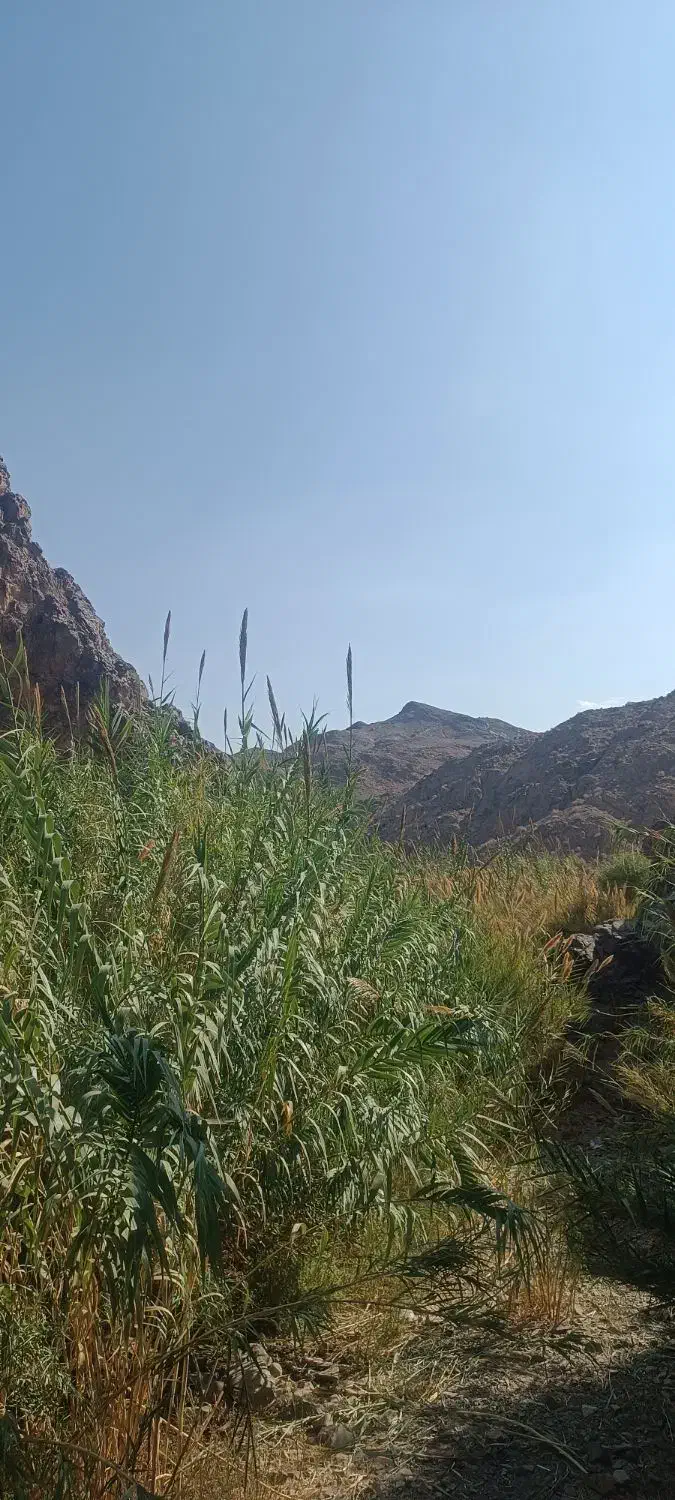 نی هفتبند|سازهای بادی|کاشان, استرک|دیوار