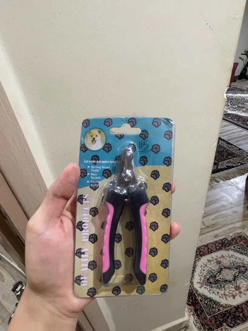 ملزومات گربه|گربه|ارومیه, |دیوار