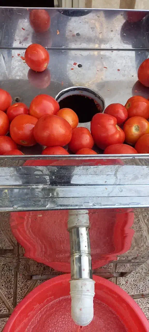 آبگیری گوجه به همراه گوجه فرنگی زنجان مخصوص رب|خوردنی و آشامیدنی|محمدشهر, عباس آباد|دیوار
