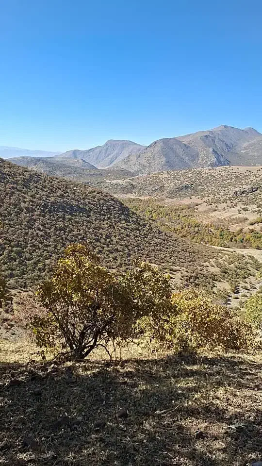 راهکار|تور و چارتر|شیروان (لرستان), |دیوار