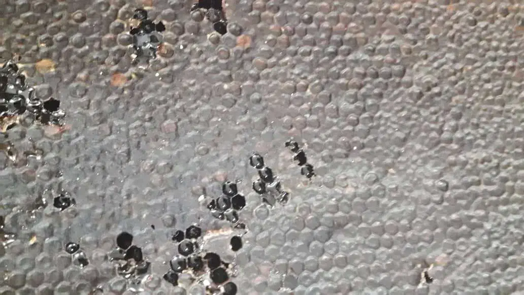 عسل|خوردنی و آشامیدنی|تسوج, |دیوار