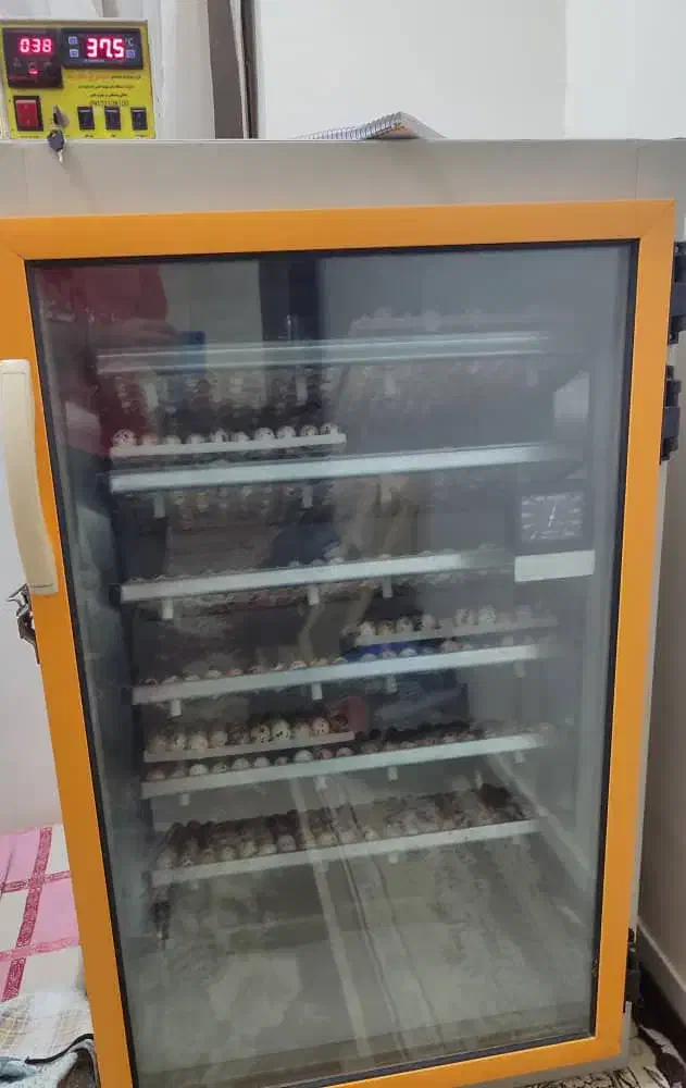 دستگاه جوجه کشی سیمرغ جنوب ۵۰۴ عددی مرغ|لوازم جانبی حیوانات|بندرعباس, |دیوار