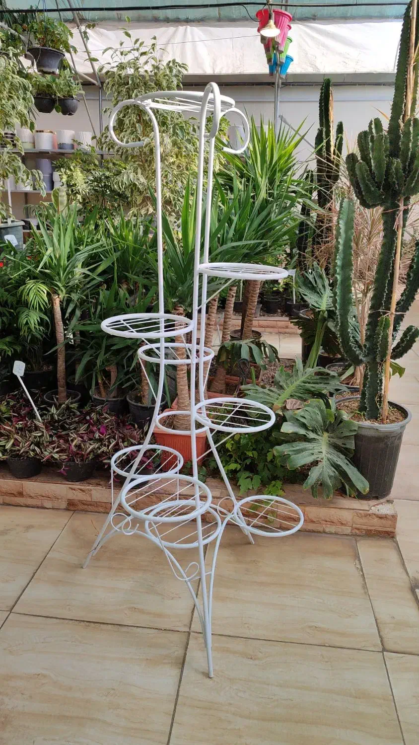 استند فلزی و چوب فلز|گل و گیاه طبیعی|کرمان, |دیوار