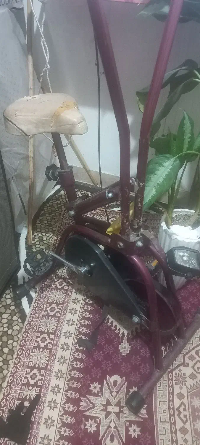 دوچرخه ثابت|تجهیزات ورزشی|رشت, کوی فکوری|دیوار