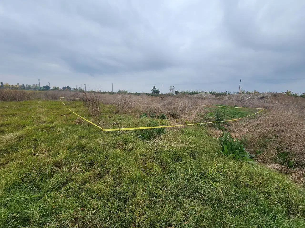 فروش زمین 375 متری واقع در جاده فرح اباد ساری|فروش زمین و ملک کلنگی|آکند, |دیوار