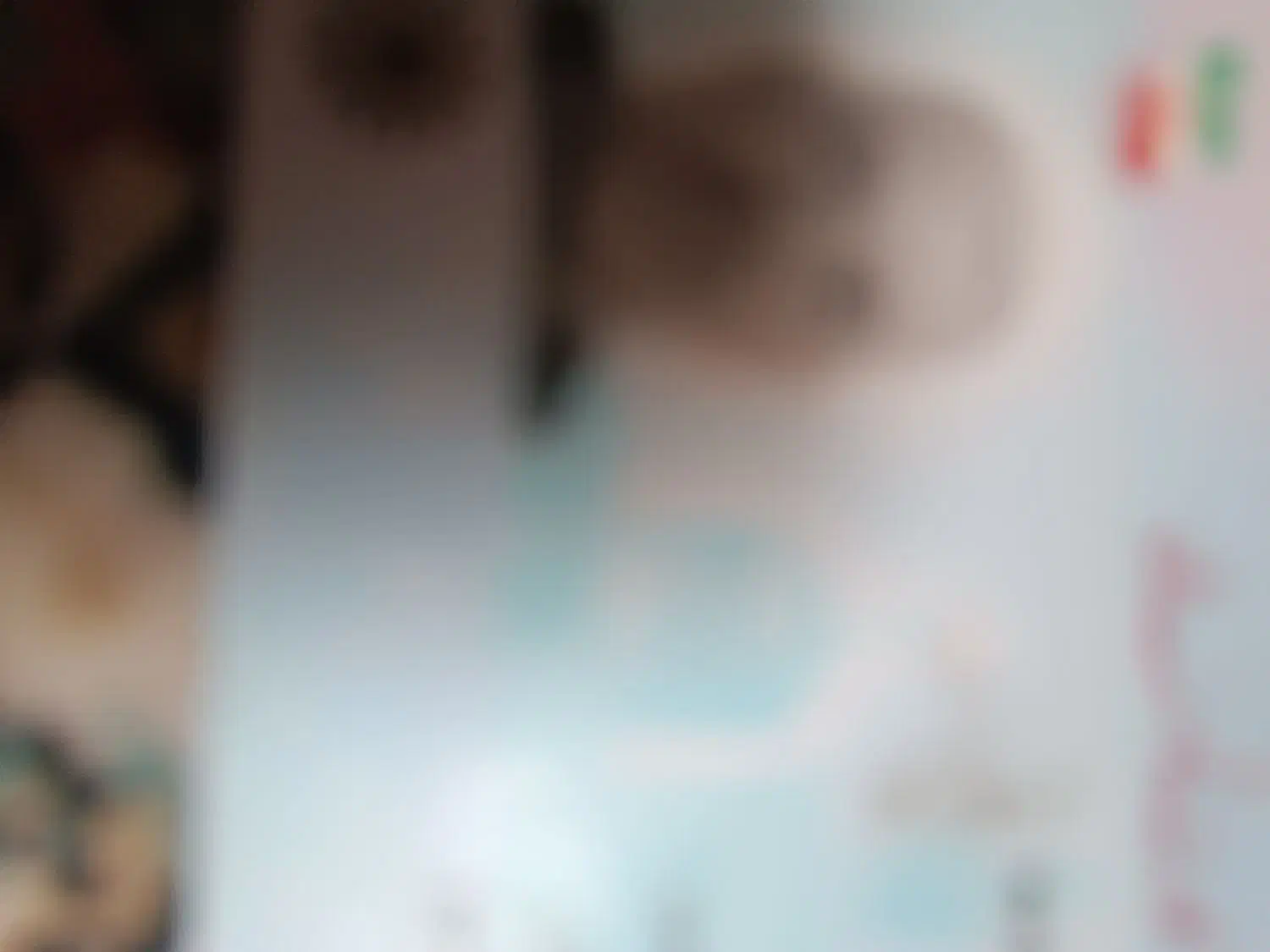 کارت ملی پیدا شده|اشیا|شهرکرد, |دیوار