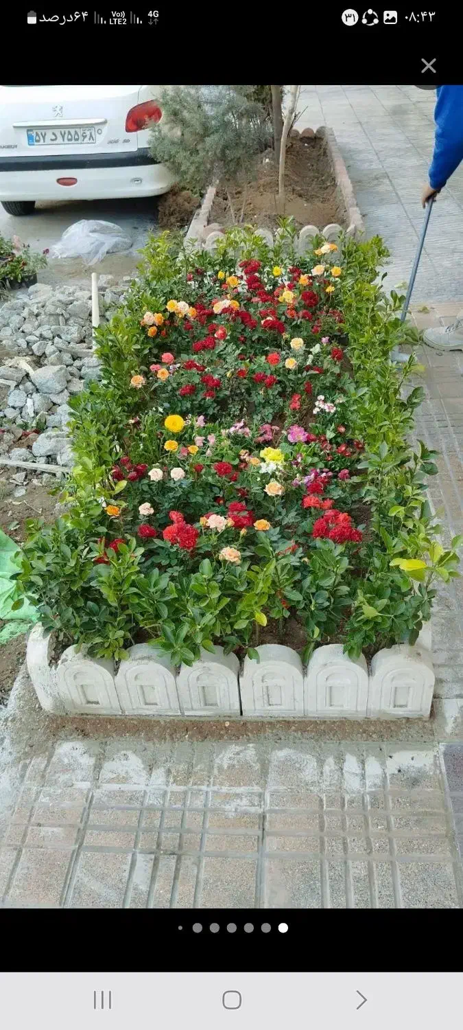 خدمات باغبانی سمپاشی هرسکاری سم سوسک سراسر تهران|خدمات باغبانی و درختکاری|تهران, تجریش|دیوار