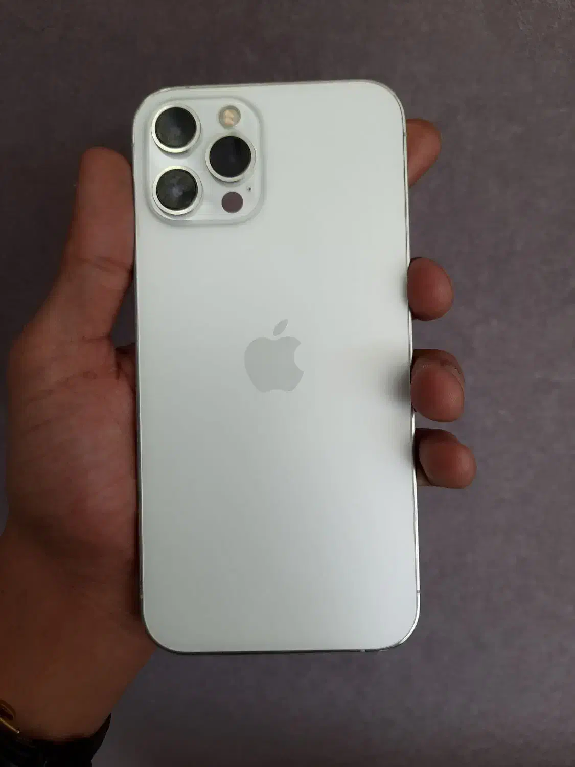 ایفون ۱۲ پرو مکس|موبایل|یزد, |دیوار