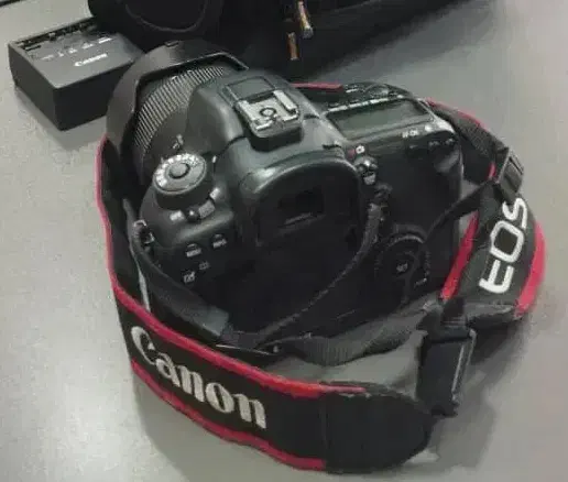 دوربین عکاسی|دوربین عکاسی و فیلم‌برداری|شهریار, شهریار|دیوار