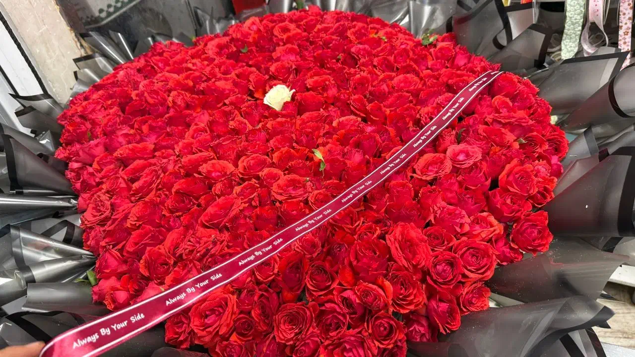 گل رز طبیعی هلندی فقط شاخه ای ۱۵|گل و گیاه طبیعی|قم, انصار‌الحسین|دیوار