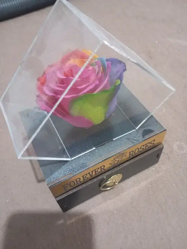 باکس هدیه|گل مصنوعی|مشهد, شهید احمدی روشن|دیوار