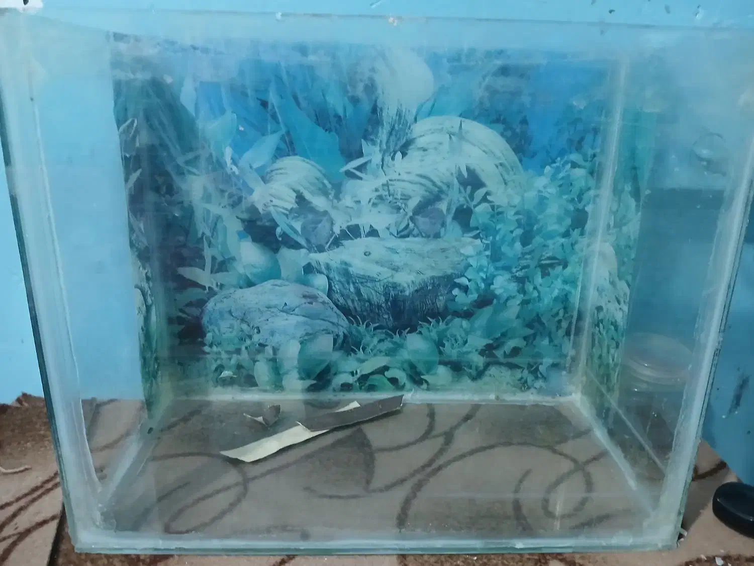 ۲ عدد  تانک|ماهی|بندرعباس, |دیوار