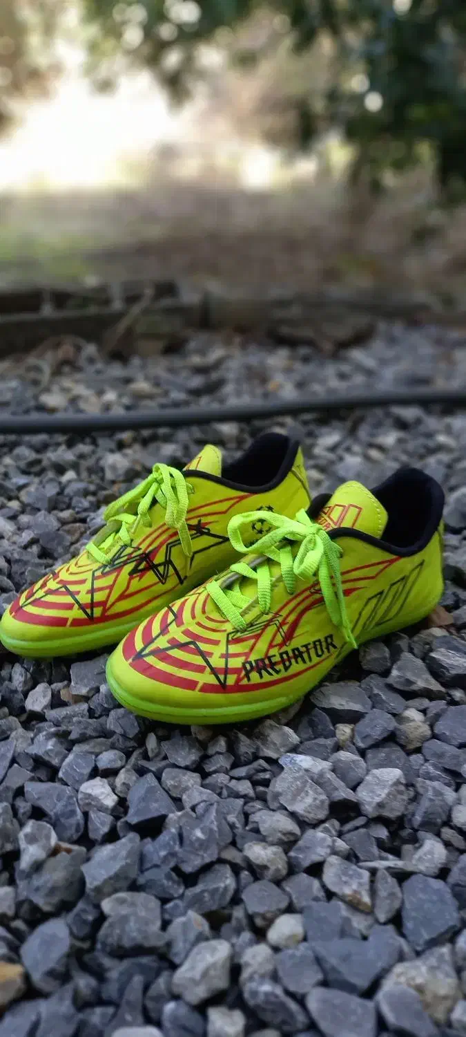 کفش فوتبال مخصوص چمن مصنوعی سایز ۴۳|کیف، کفش، کمربند|سرخرود, |دیوار