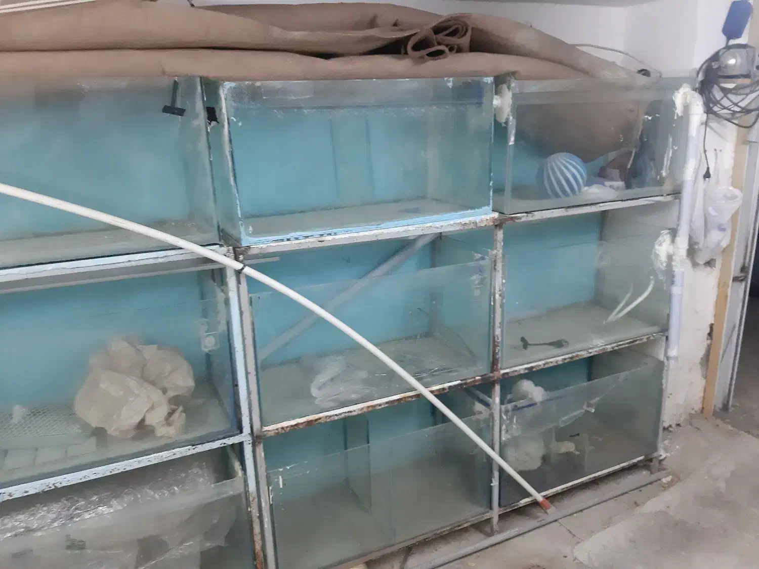 تعدادی اکواریوم سالنی قیمت توافقی|ماهی|سبزوار, توحیدشهر|دیوار