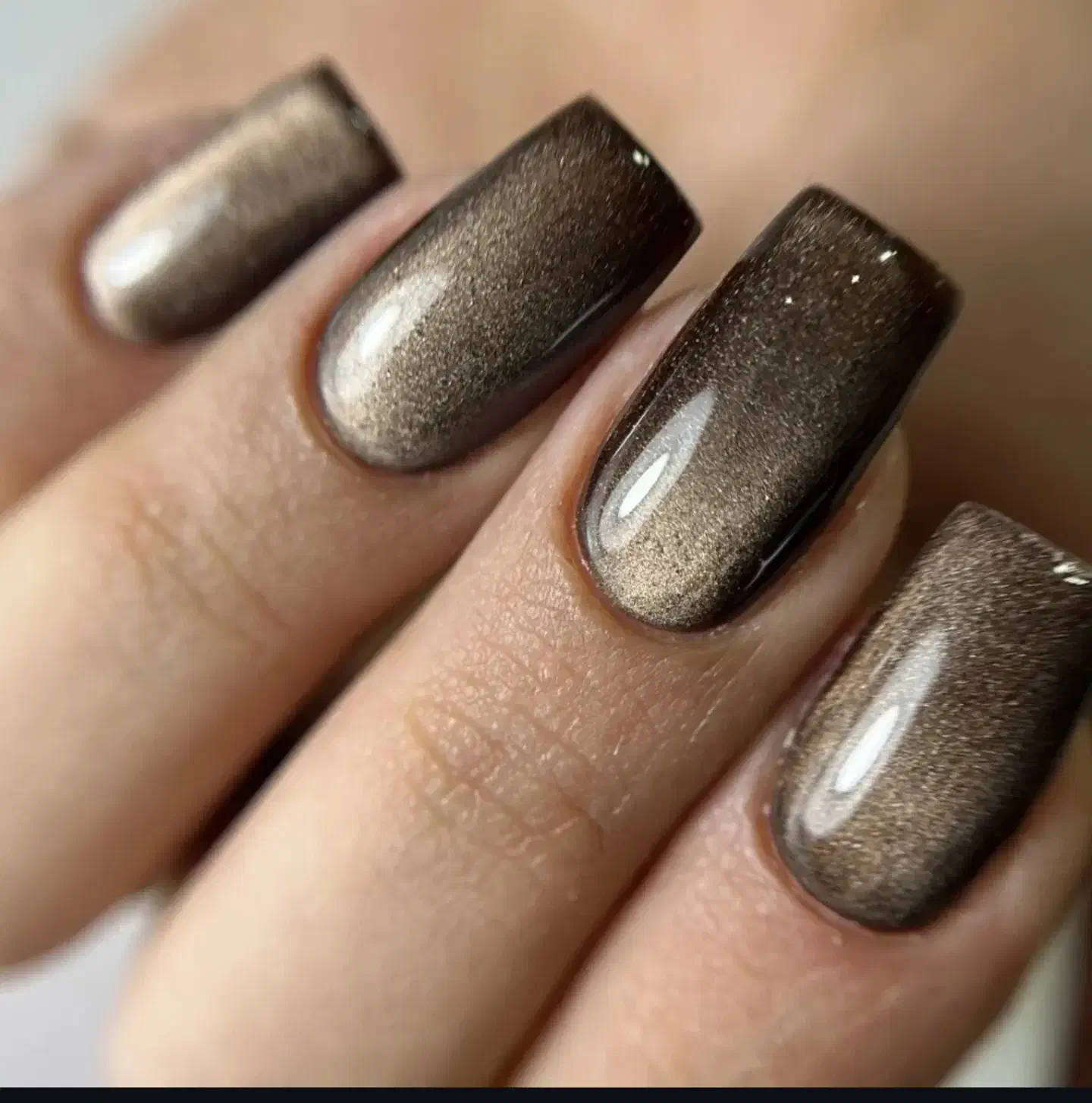 مدل کاشت ناخن رایگان محدودد|خدمات آرایشگری و زیبایی|مرودشت, مسجد رسول|دیوار