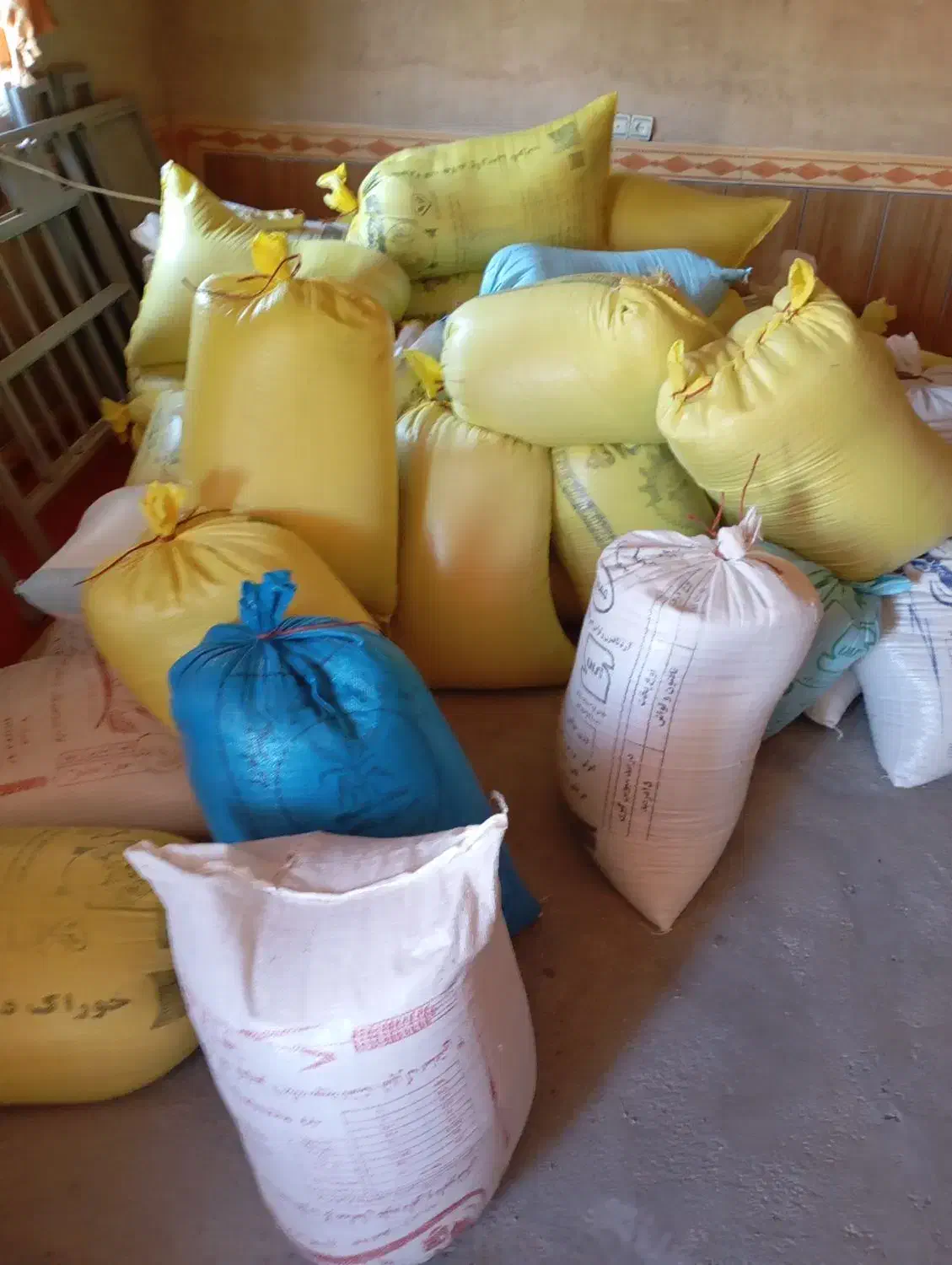 بذر گندم آبی|خدمات باغبانی و درختکاری|زاغه, |دیوار