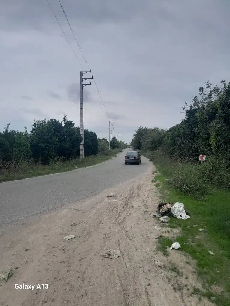 باغ پرتقال|فروش دفتر صنعتی، کشاورزی، تجاری|کیاکلا, |دیوار