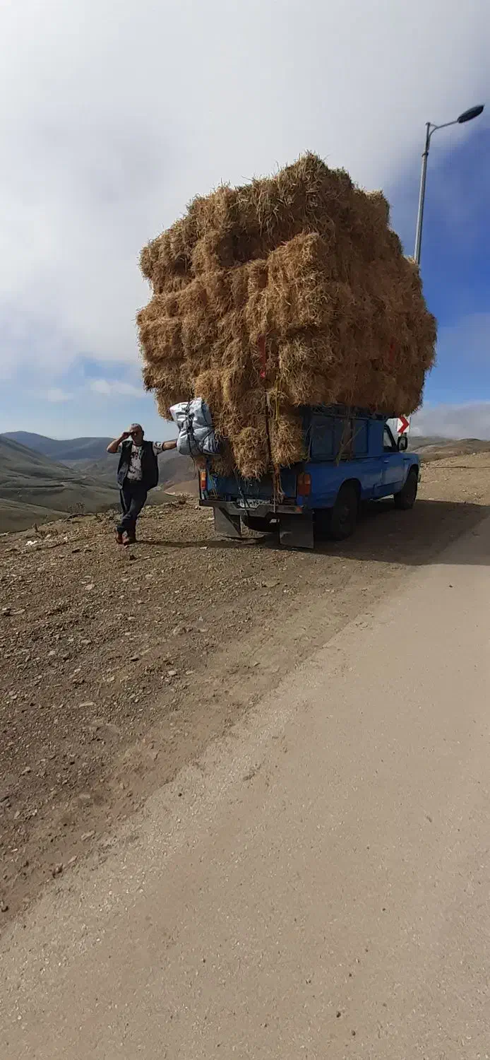 کاه یا سرچینه|لوازم جانبی حیوانات|تالش, تالش|دیوار