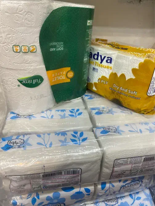 دستمال کاغذی|مواد شوینده و دستمال کاغذی|رشت, معلم|دیوار