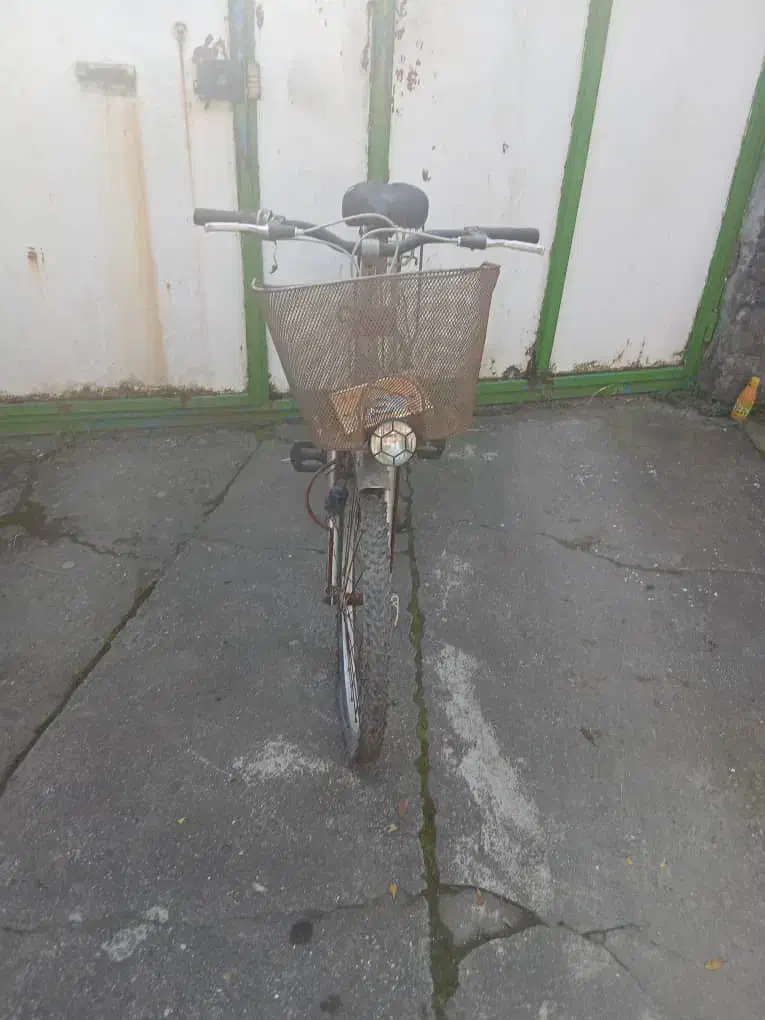 دوچرخه قناری|دوچرخه، اسکیت، اسکوتر|بندر انزلی, پیل علی باغ|دیوار