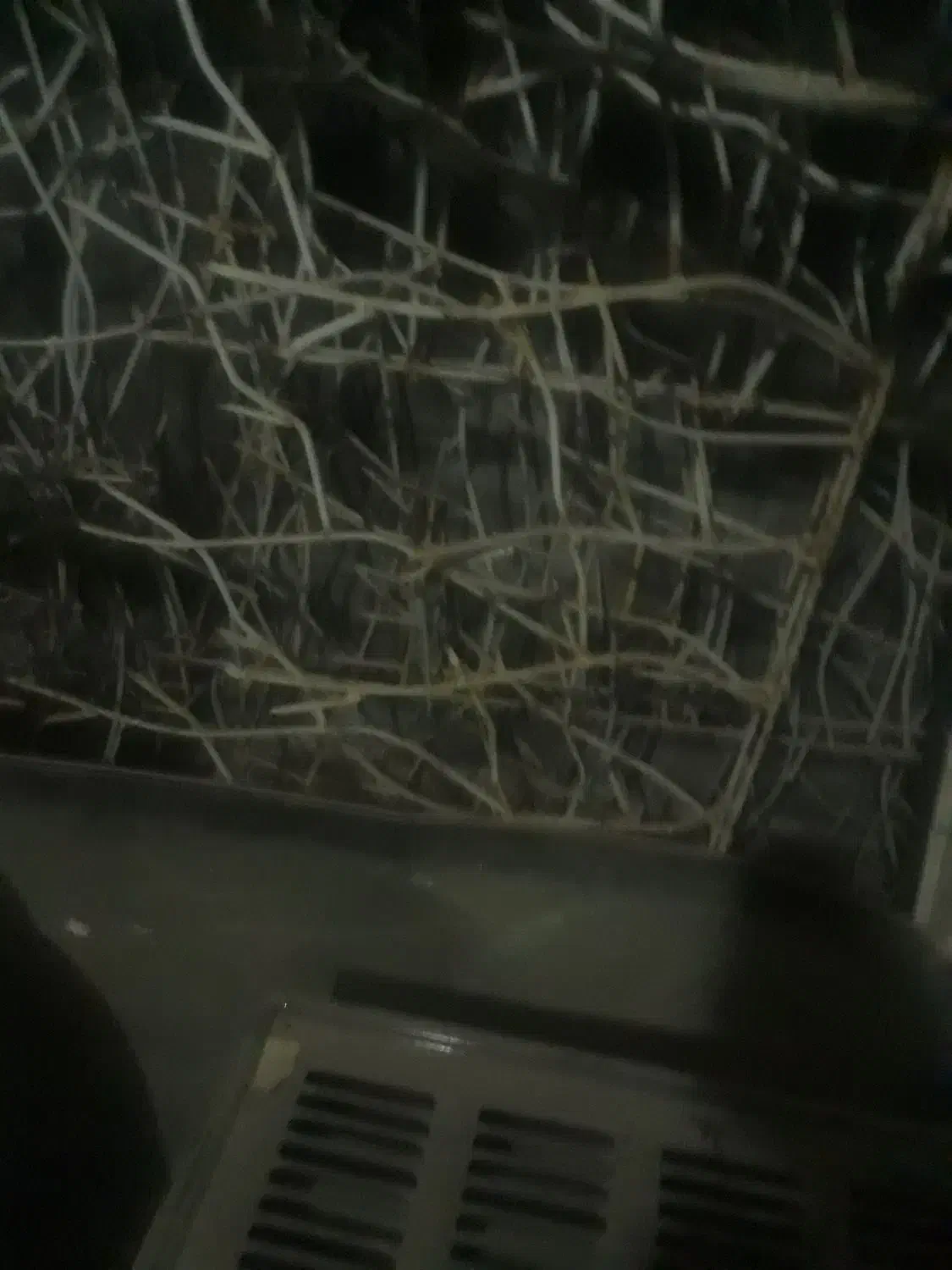 حفاظ میلگردی شاخه ای|مصالح و تجهیزات ساختمان|نصر آباد, |دیوار