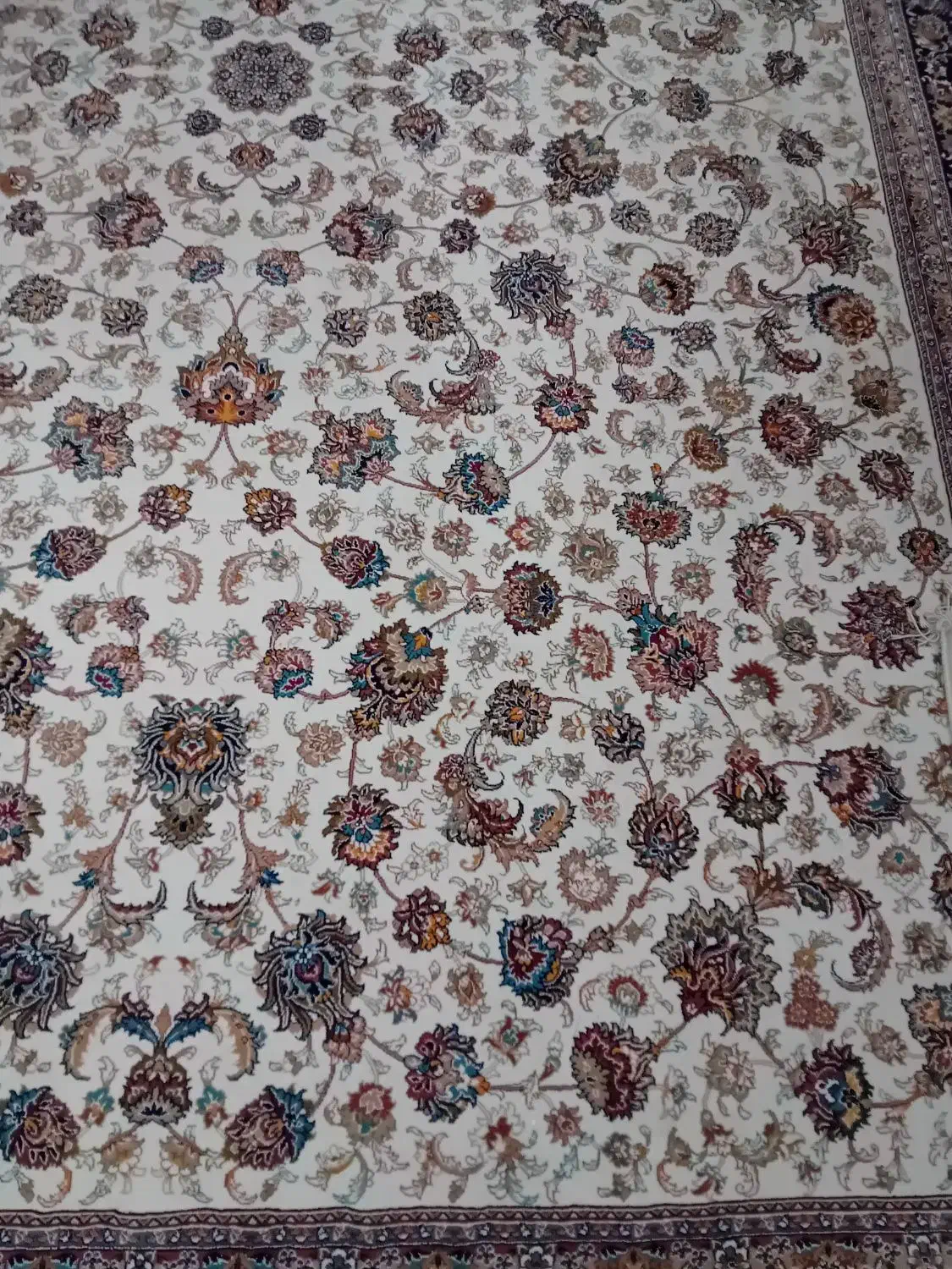 قالی ۹ متری|فرش|زاهدان, |دیوار