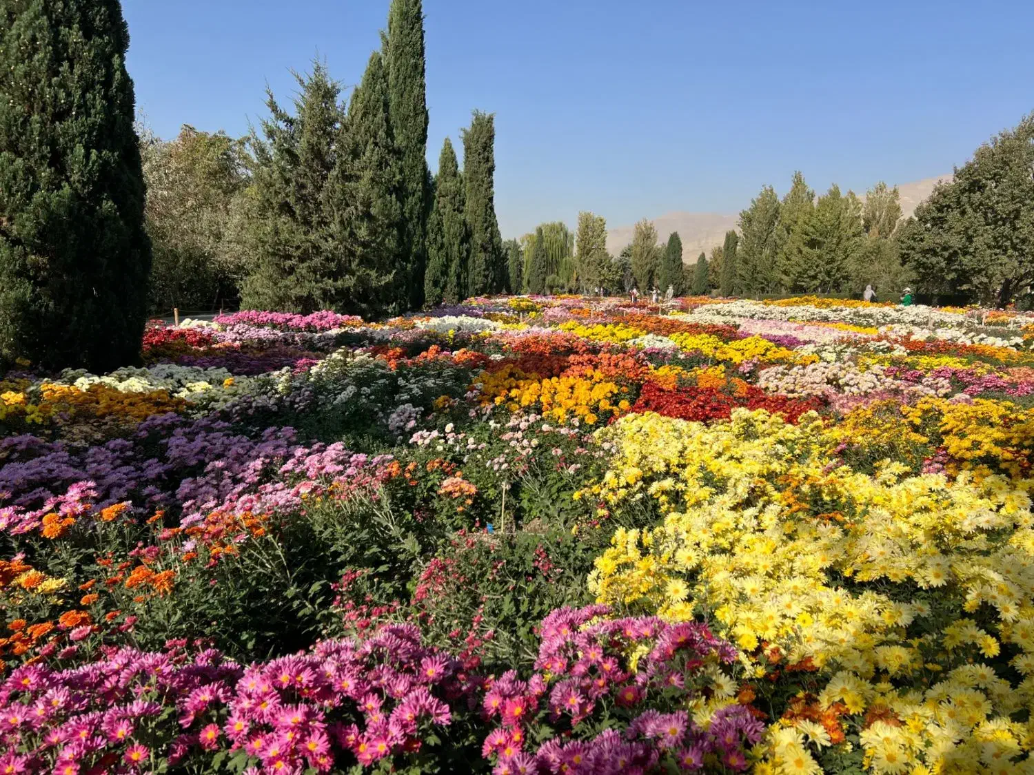 حمل بارشماتا۴۰۰کیلوتاشیرازمشهدوهمه شهرها۴میلیونتمن|خدمات حمل و نقل|تهران, کرمان|دیوار