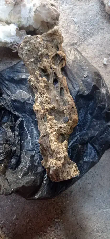 استفراغ نهنگ عنبر ونهنگ شهب|آرایشی، بهداشتی، درمانی|هندیجان, |دیوار