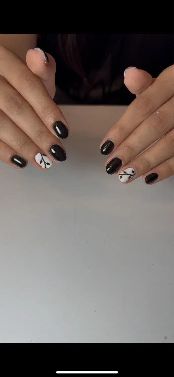 رایگان|اجاق گاز و لوازم برقی پختوپز|فریدونکنار, |دیوار