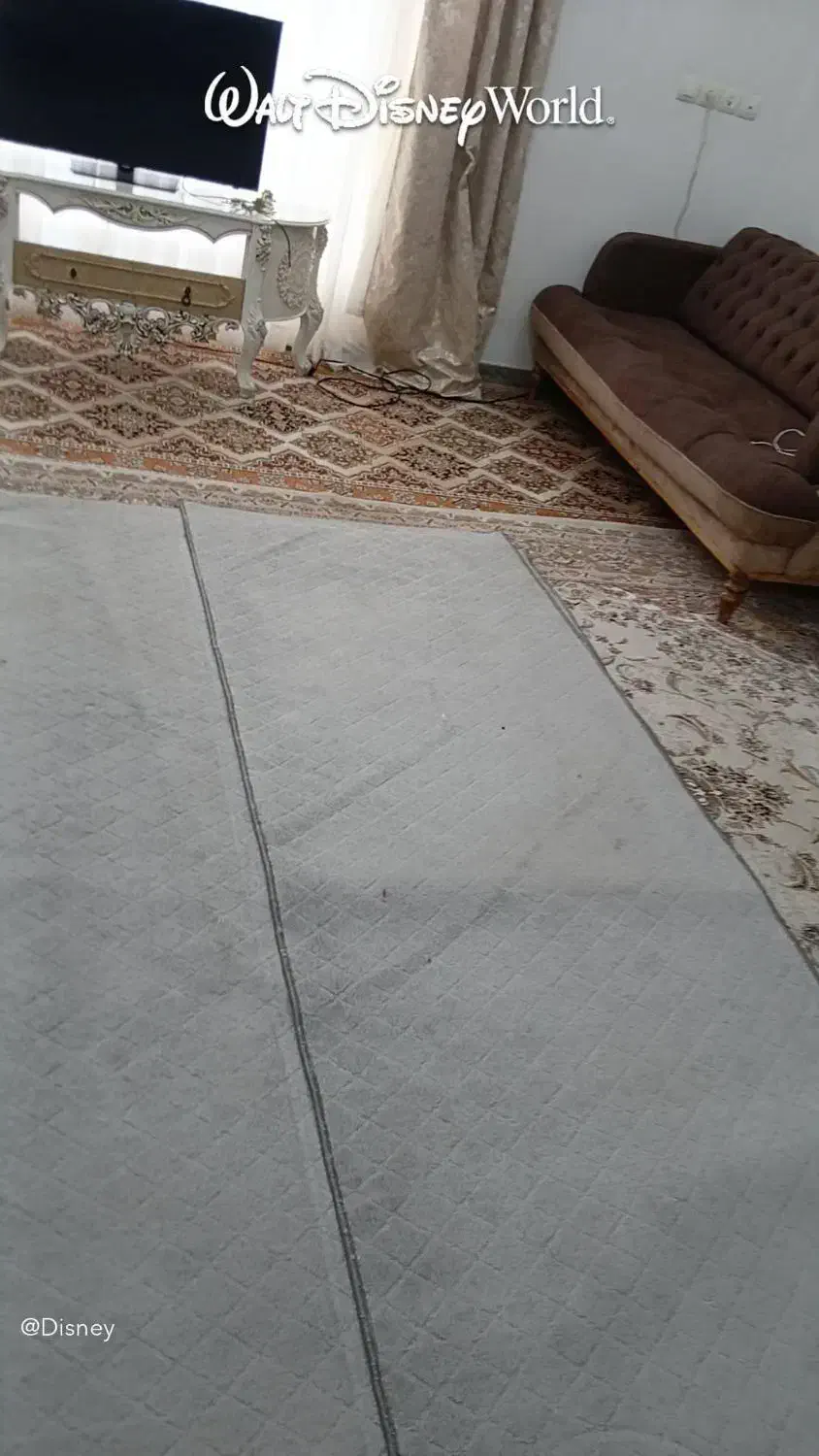 پالاز موکت|موکت|مشگین شهر, |دیوار