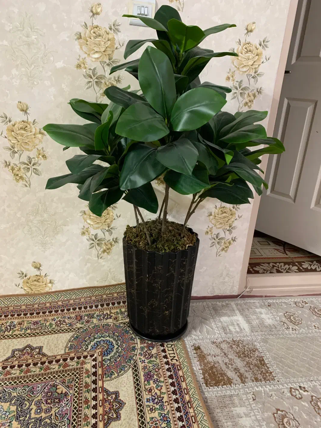 درختچه مصنوعی|گل مصنوعی|مشهد, حسینآباد|دیوار