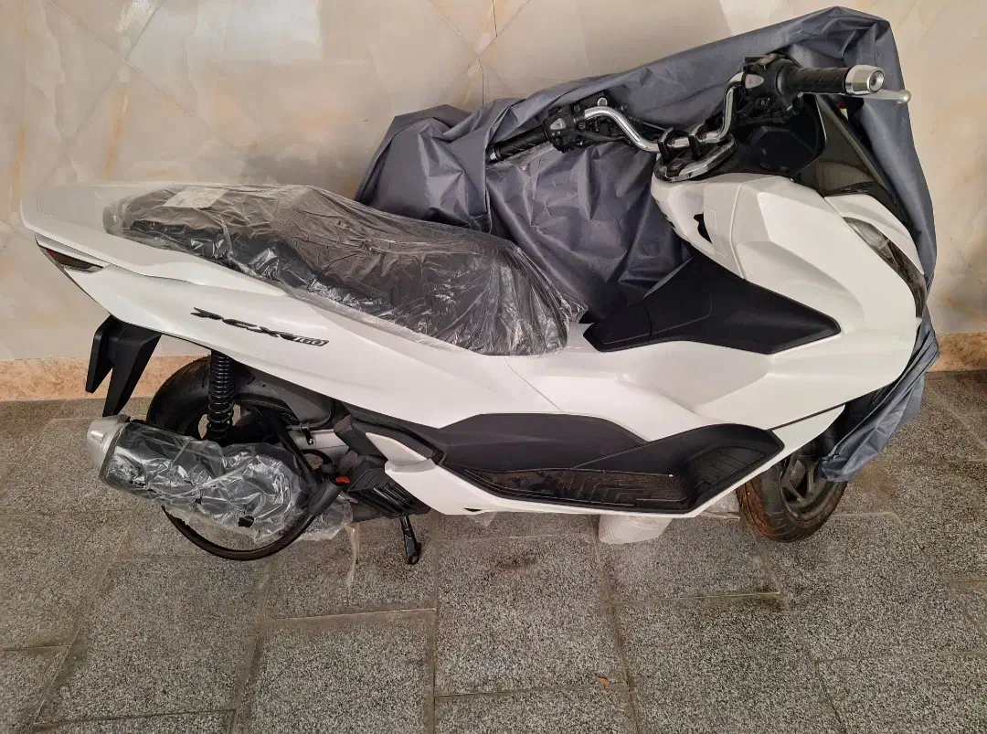 PCX 160 2024|موتورسیکلت|بوشهر, |دیوار