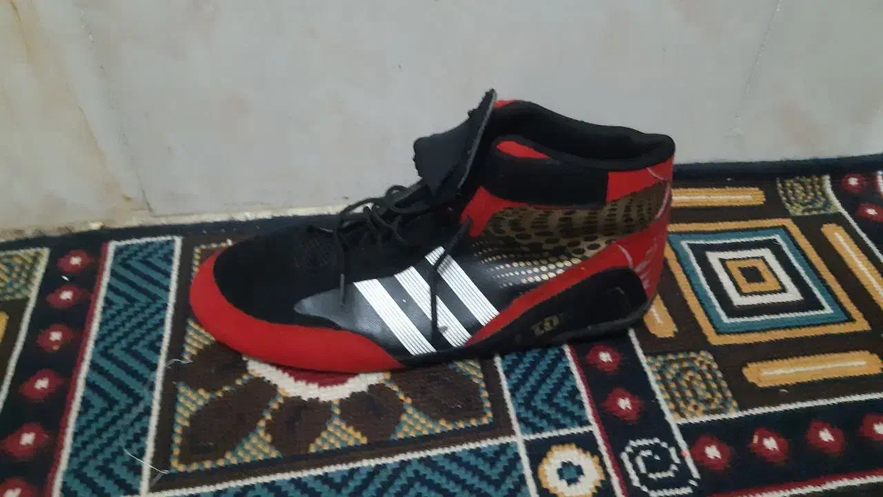 گمشده|کیف، کفش، کمربند|جوانرود, |دیوار