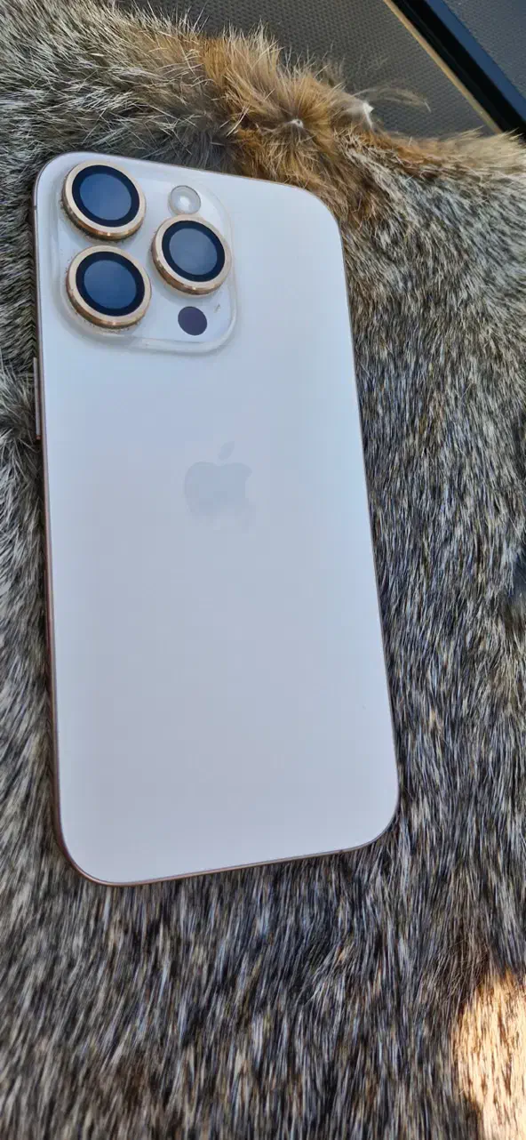 Iphone 16pro che|موبایل|تبریز, |دیوار