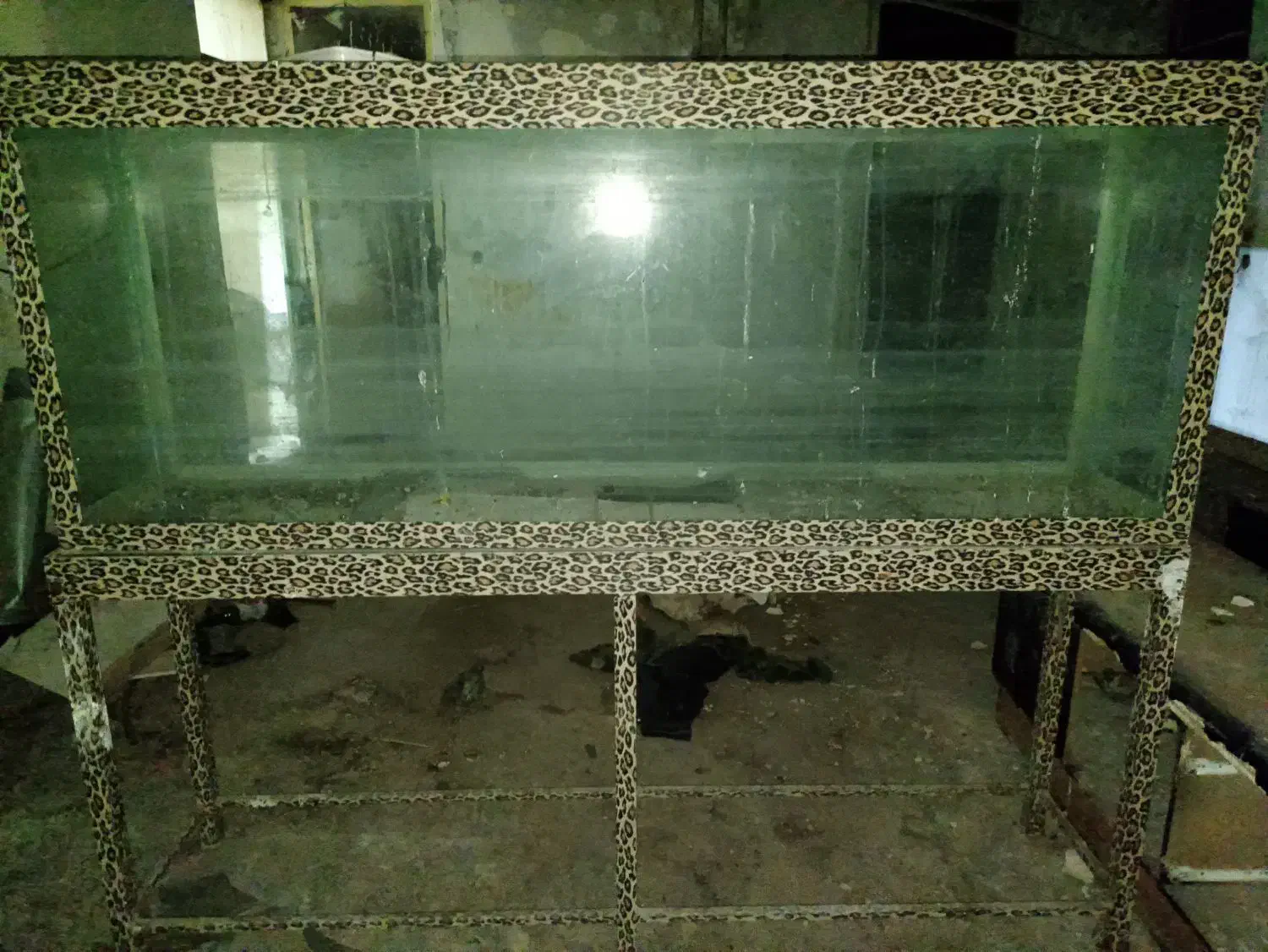 آکواریوم بزرگ|ماهی|بیرجند, |دیوار