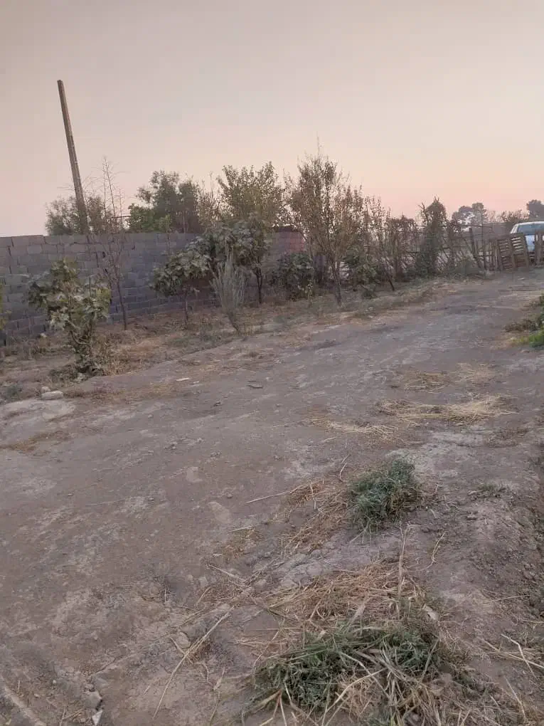 زمین کشاورزی|فروش دفتر صنعتی، کشاورزی، تجاری|ری, فیروزآباد|دیوار