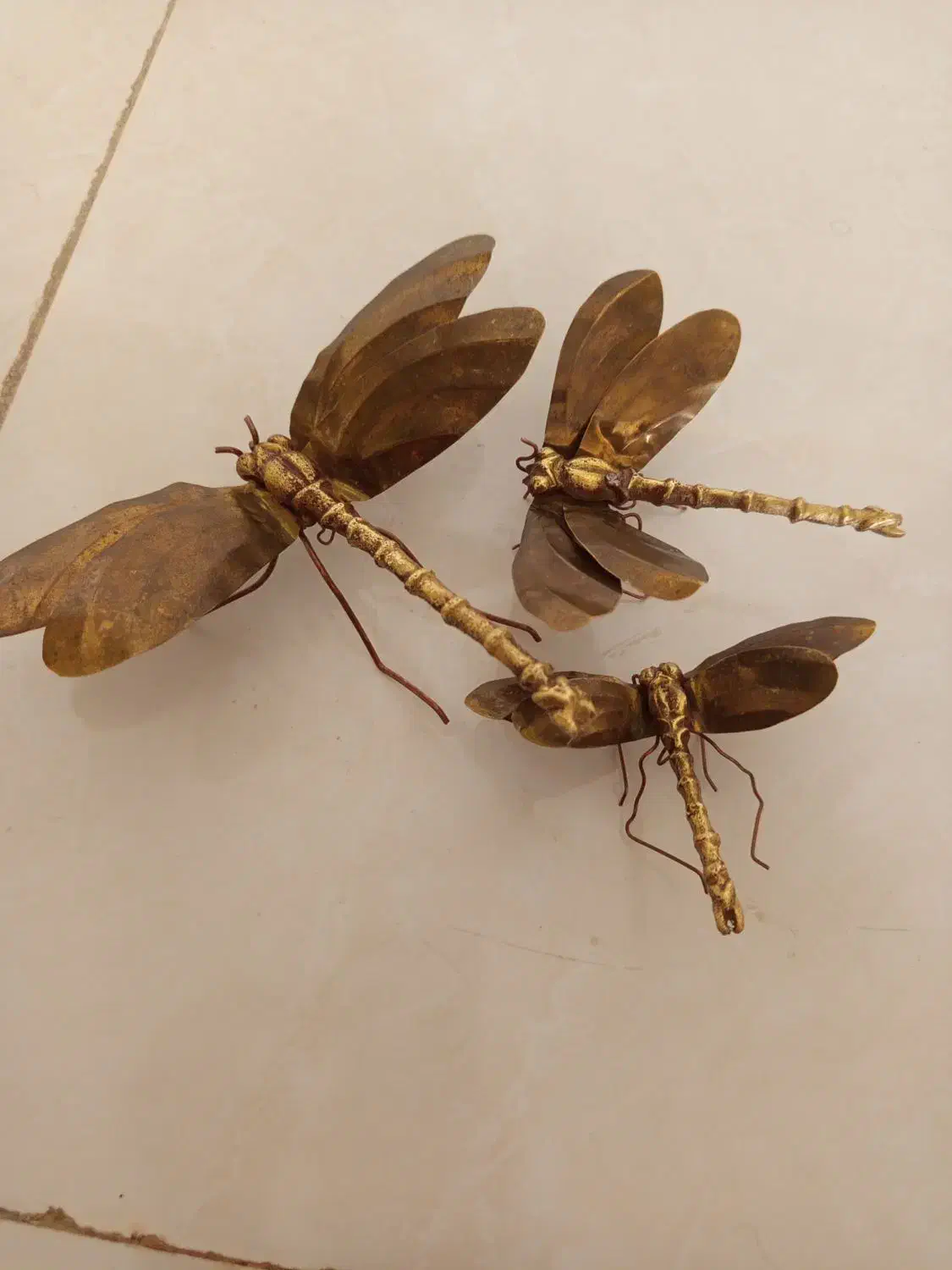 برنز سنجاقک|مجسمه، تندیس، ماکت|خرمآباد, |دیوار