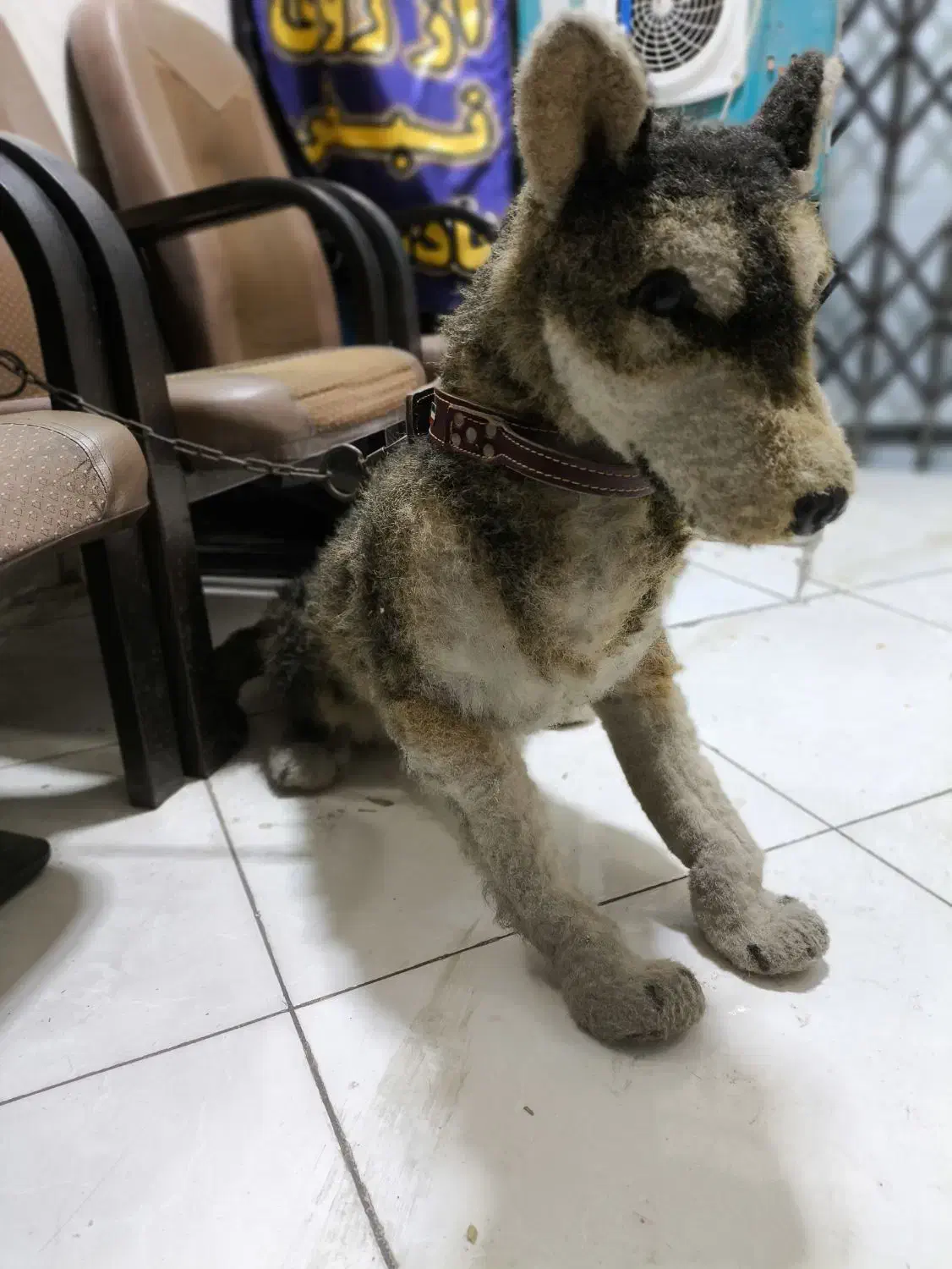 سگ نگهبان خاص|سگ|تهران, دریاننو|دیوار