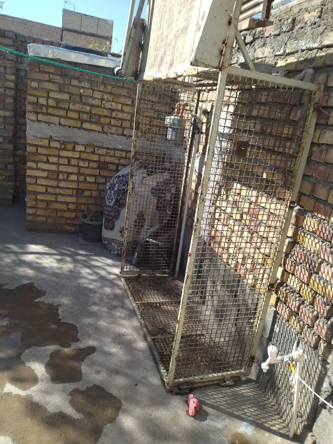 اتاق|قطعات یدکی و لوازم جانبی|تربت جام, یحیی آباد|دیوار