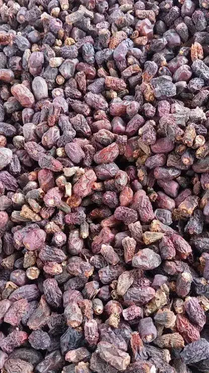 خرما کده|حراج|بم, |دیوار