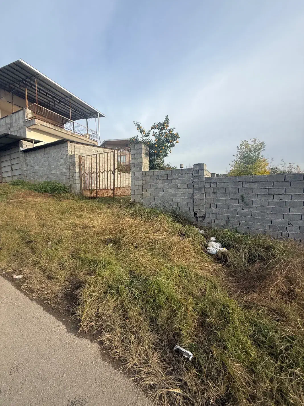 فروش زمین در بابلکنار|فروش زمین و ملک کلنگی|مرزیکلا, |دیوار