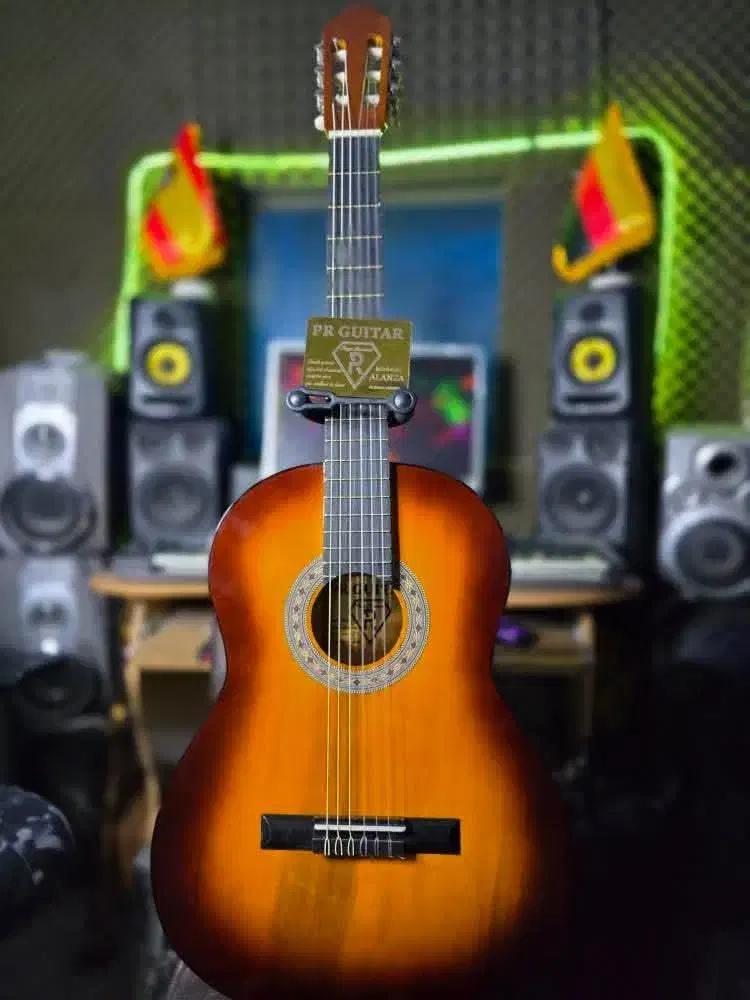 گیتار کلاسیک زیبا حرفه ای به همراه سافت کیس رایگان|گیتار، بیس، امپلیفایر|تهران, نارمک|دیوار