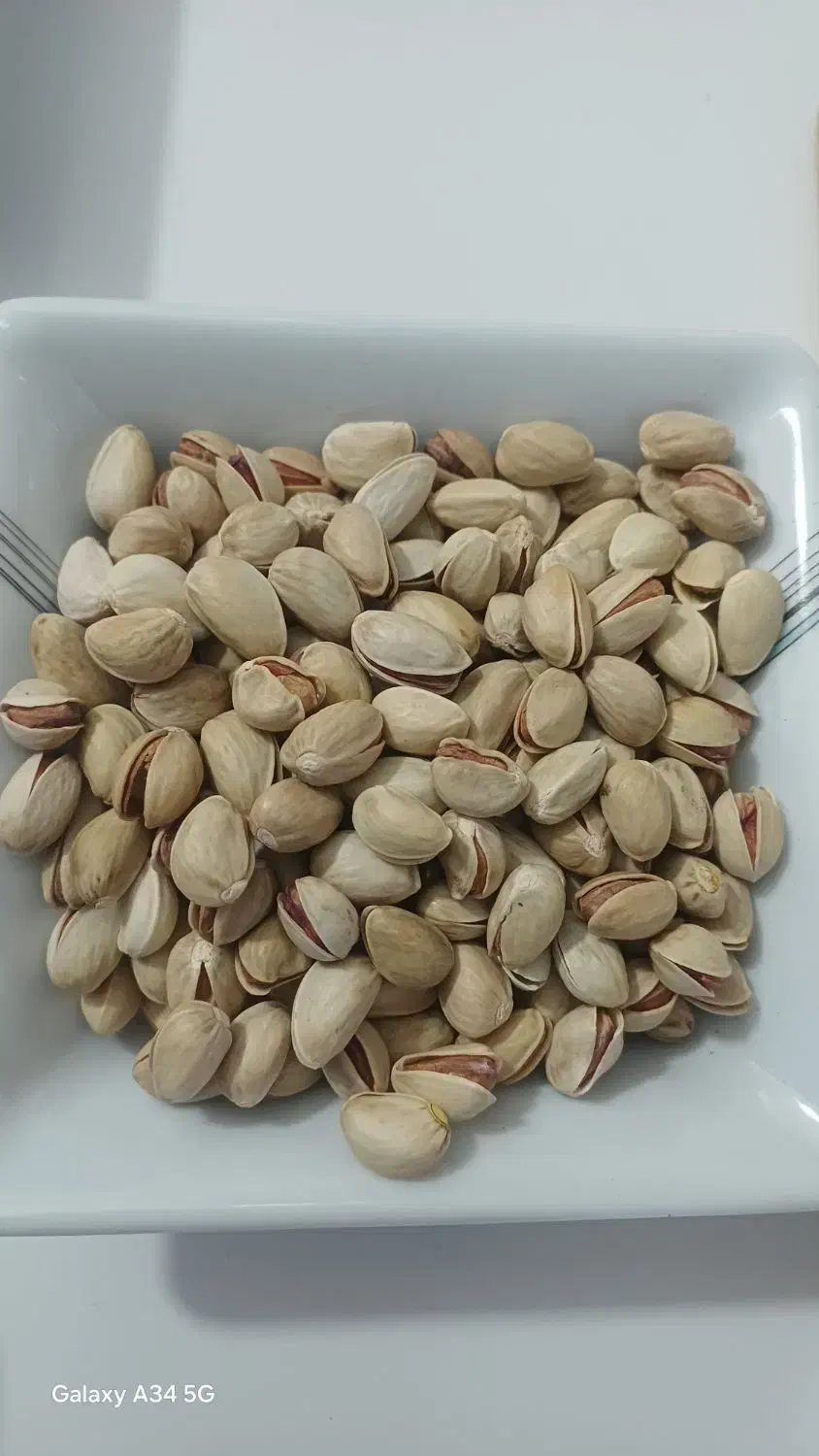 فروش پسته تازه امسال|خوردنی و آشامیدنی|شیراز, کوشک میدان|دیوار