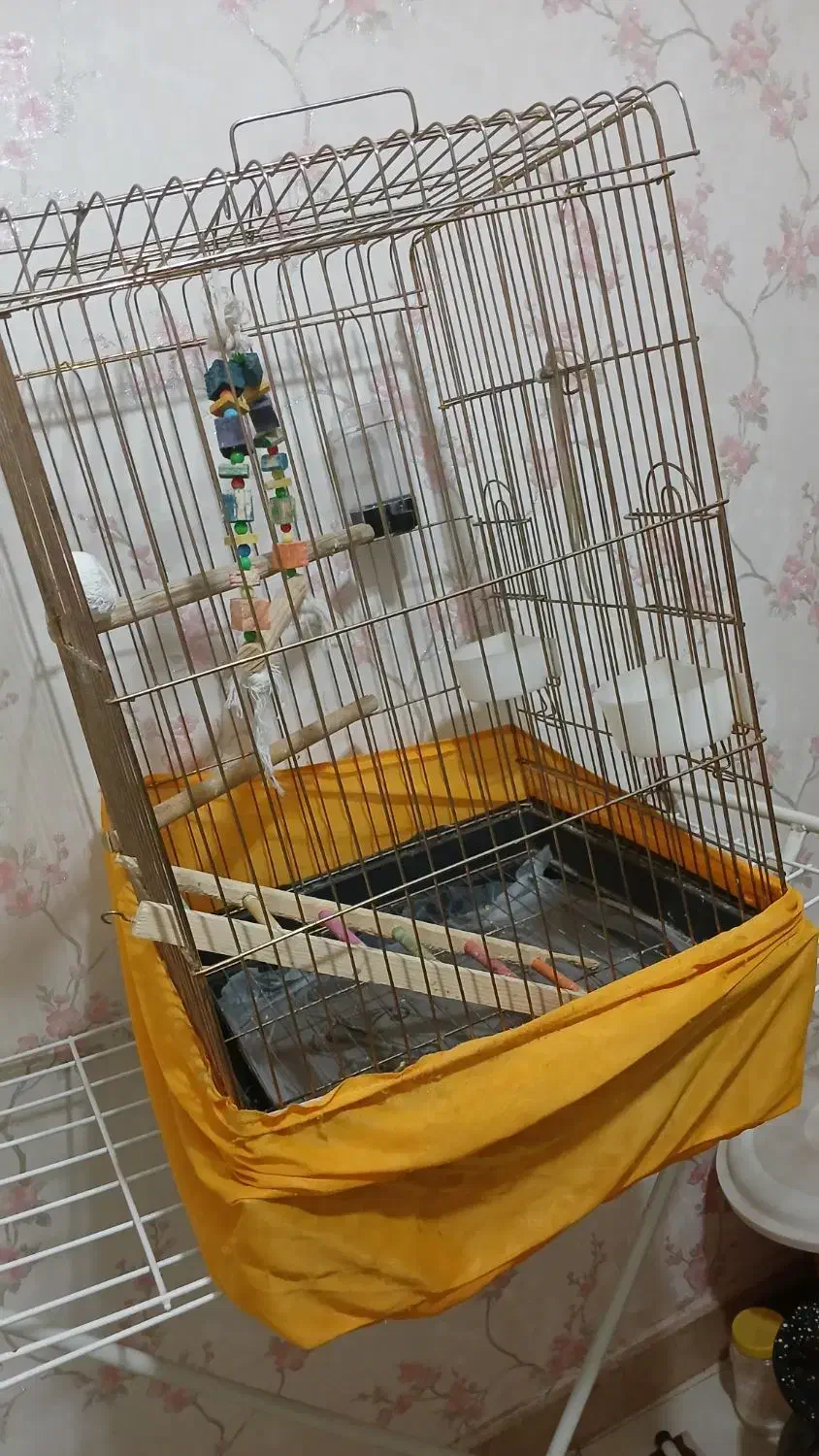 قفس پرنده|لوازم جانبی حیوانات|اسلامشهر, مظفریه|دیوار