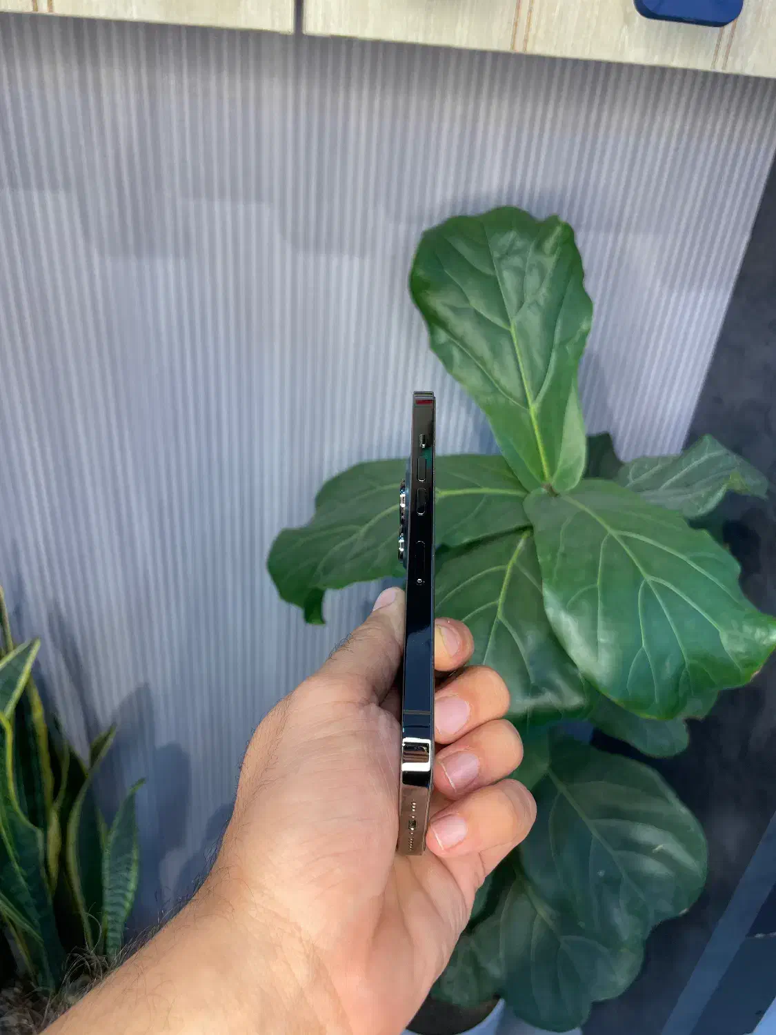 آیفون 13 پرو درحد|موبایل|رشت, چله خانه|دیوار