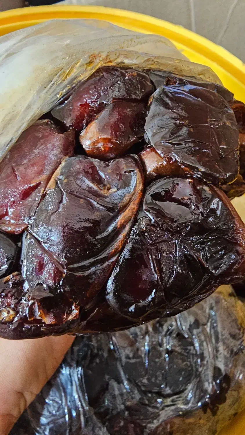 خرمای کبکاب درجه یک|خوردنی و آشامیدنی|جم, |دیوار