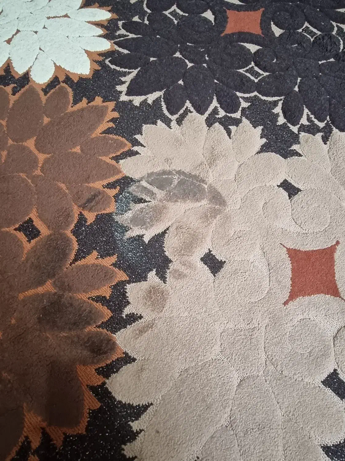 گلیم فرش ۴ متری|گلیم، جاجیم، گبه|گرگان, |دیوار