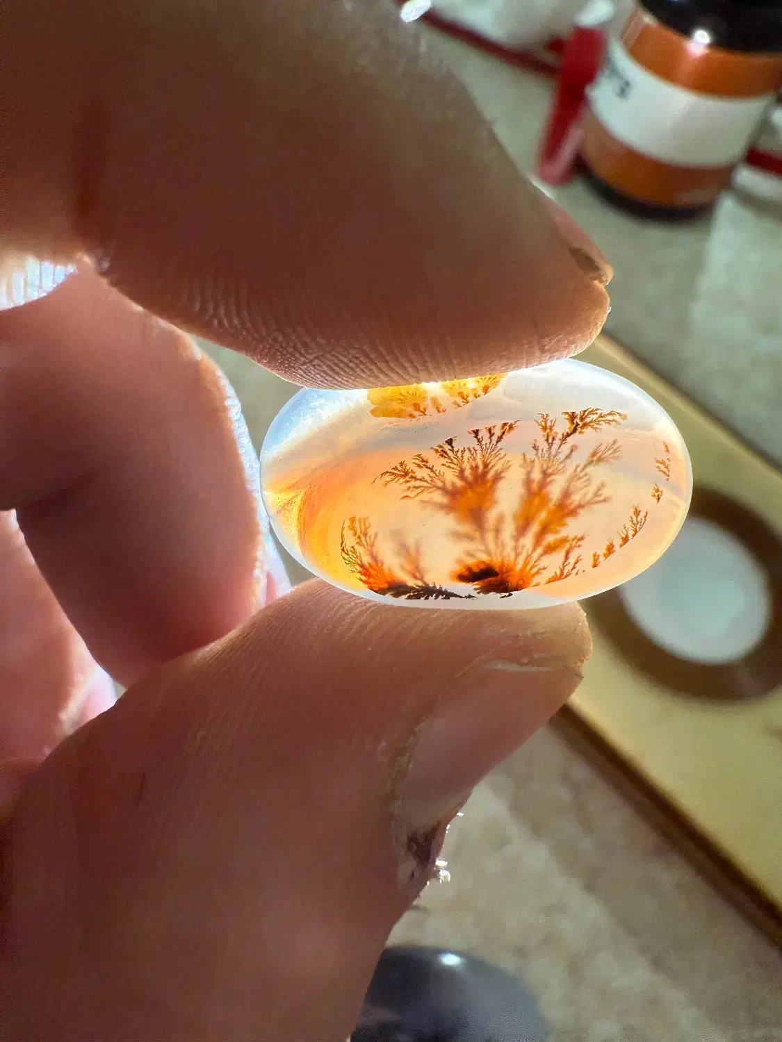 سنگ جواهر ،شجر،کلکسیونی،انگشتر طلا،معاوضه|جواهرات|تهران, تهرانسر مرکزی|دیوار